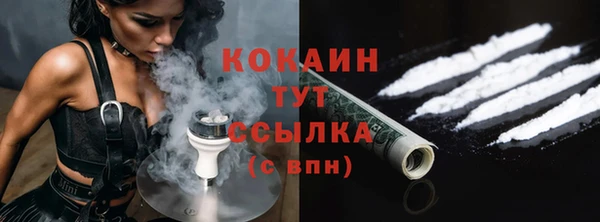соль ск Алексин