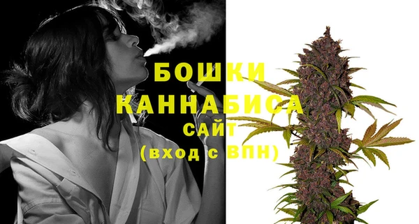 хмурый Покачи
