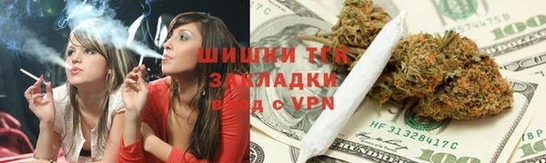 соль ск Алексин